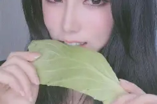 手机屏_标签_网易出品